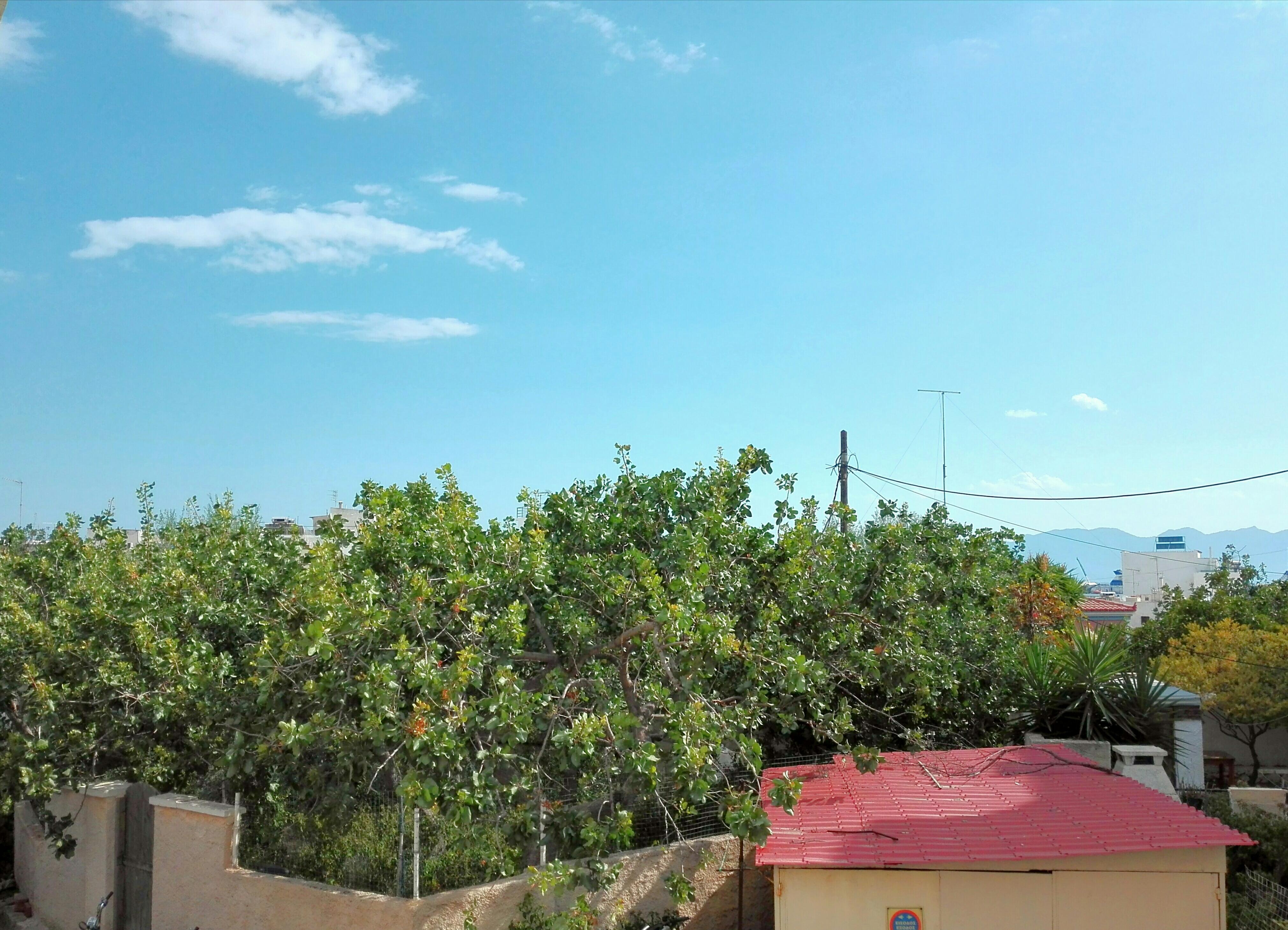 Hotel Aegina Dış mekan fotoğraf